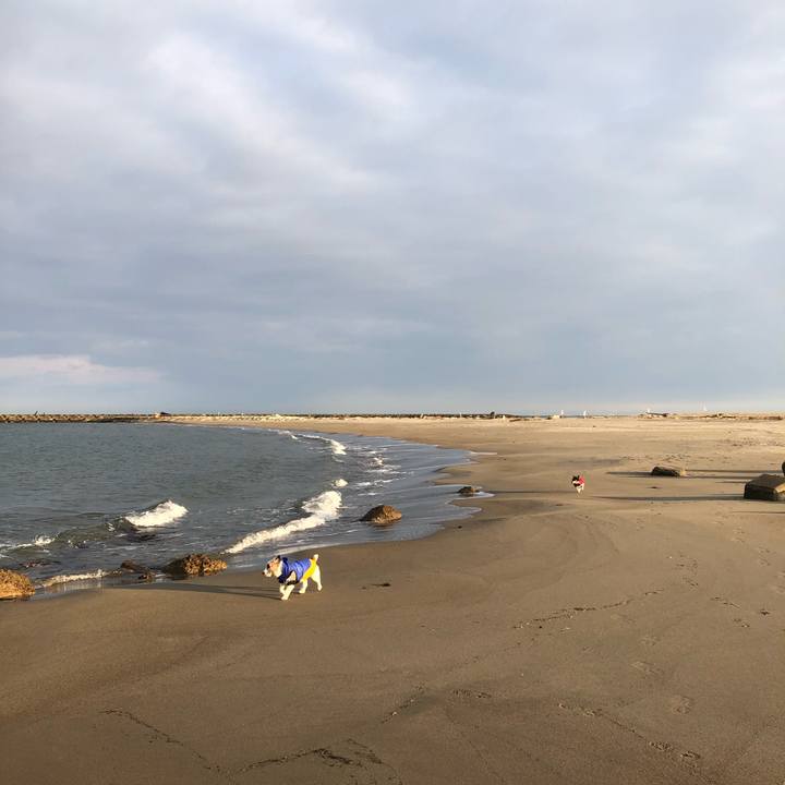 92ef1643 5d74 462a 8148 0c010914438a 1580689751230