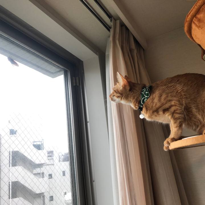 92ef6706 7713 470c 9439 ae4dd52f9ae0 1629153572013