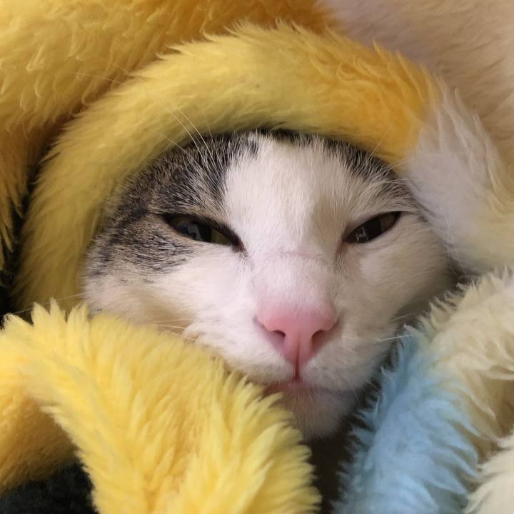 92efa7d4 a7d9 4296 880c b42c2290ac68 1576320762245