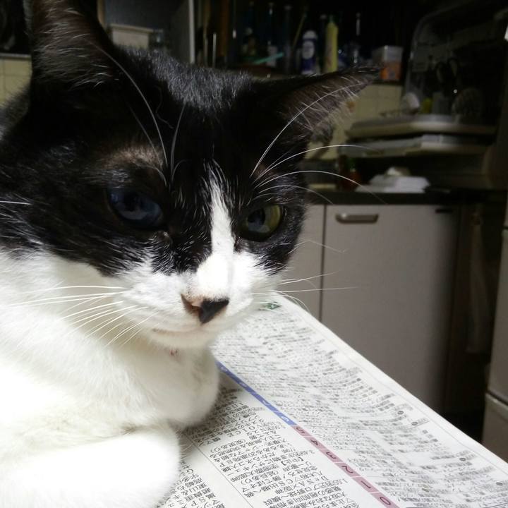 92efb47f ce55 437b 979a 710a165b023a 1537179212675