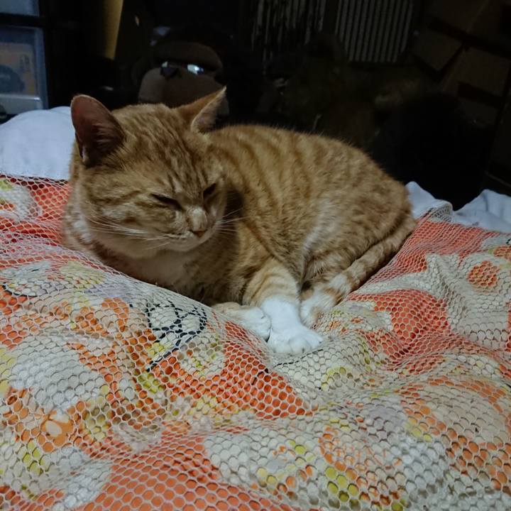 92effa43 138b 4ab0 8aac c66842b4b442 1581248682543