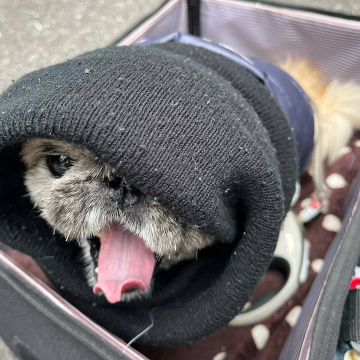 92f01002 b3e6 421c 9e06 821af27db26c 1768884220176