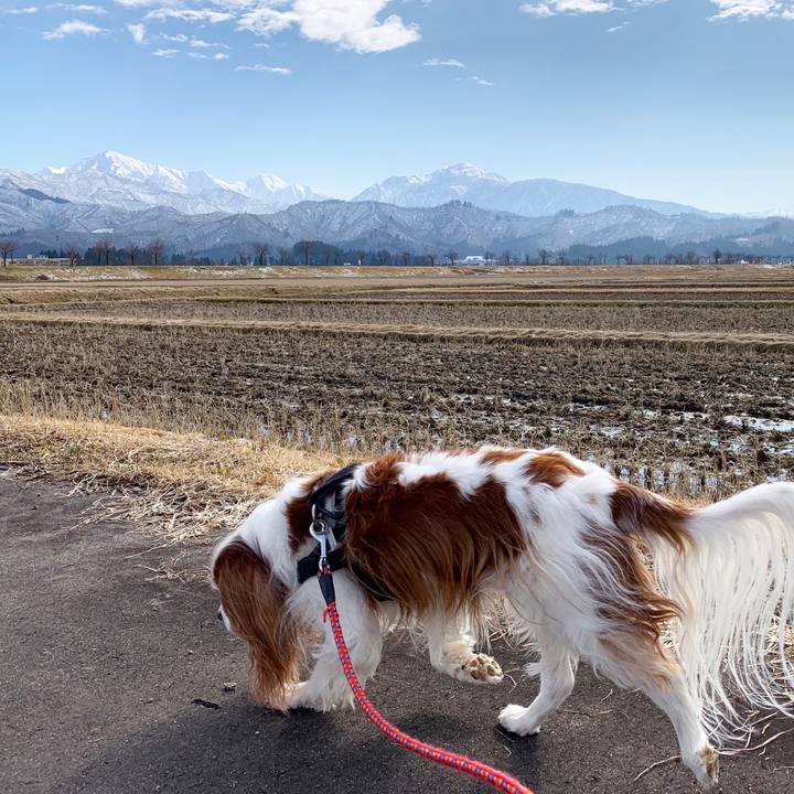 92f08d07 21ae 432c 9044 ac55e6dbf5c2 1580701237352