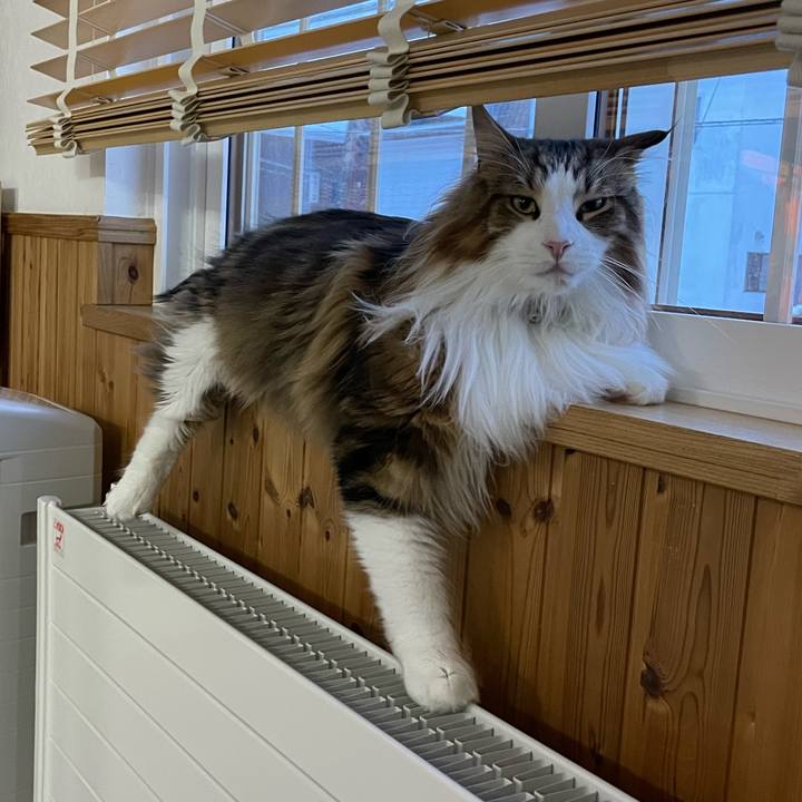 92f0a6bf 25d0 4c5a b9df b305d3d61ab7 1676152525137