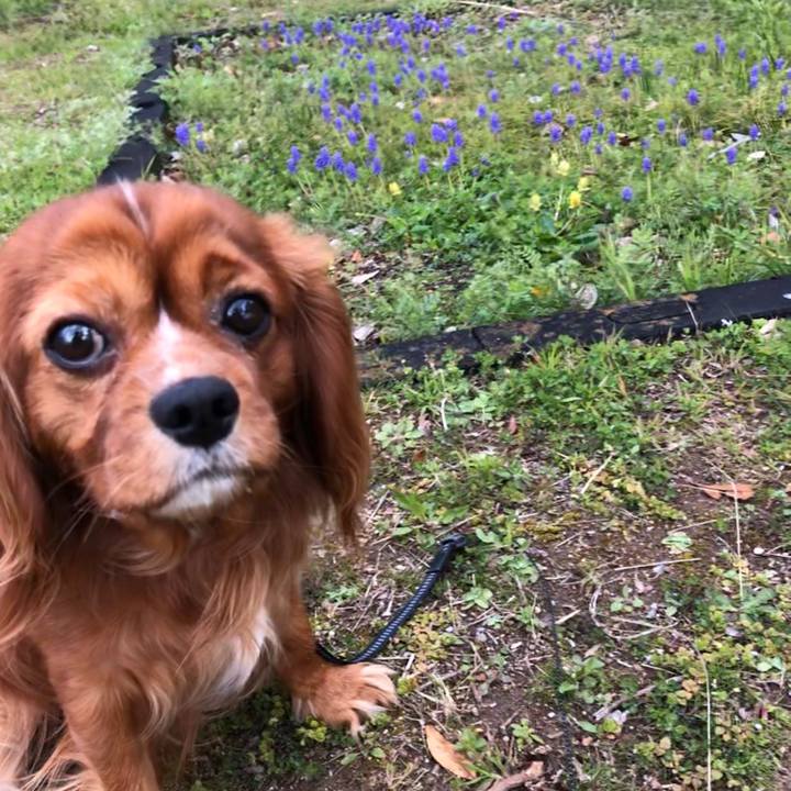 92f0a8bf 38e4 4a9b 946e 7b88b62d03d8 1584665494102