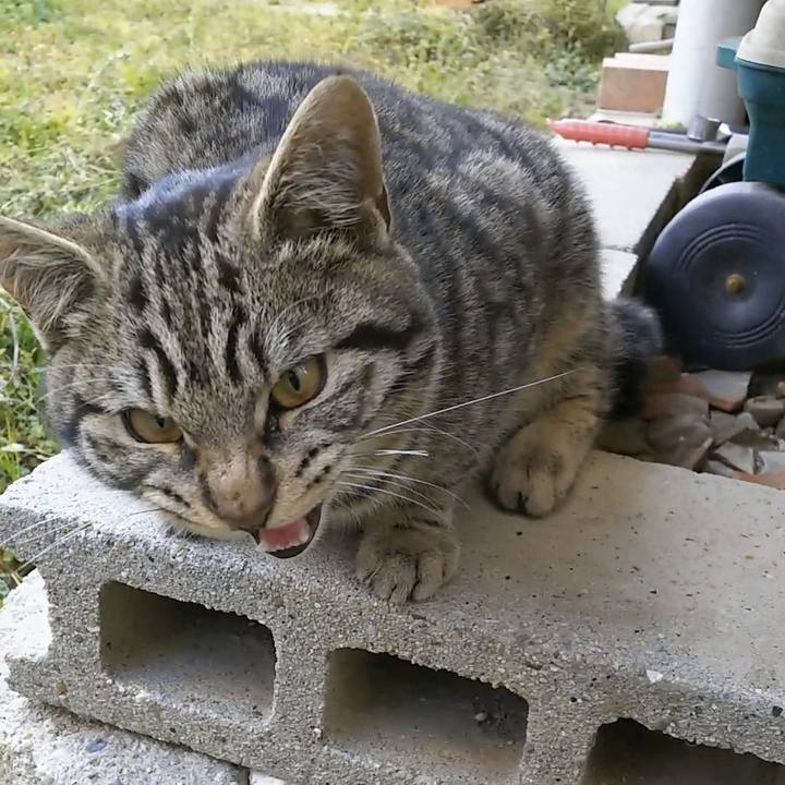 92f0ce47 04e9 401f aefb dd99e8c3a659 1552807434571