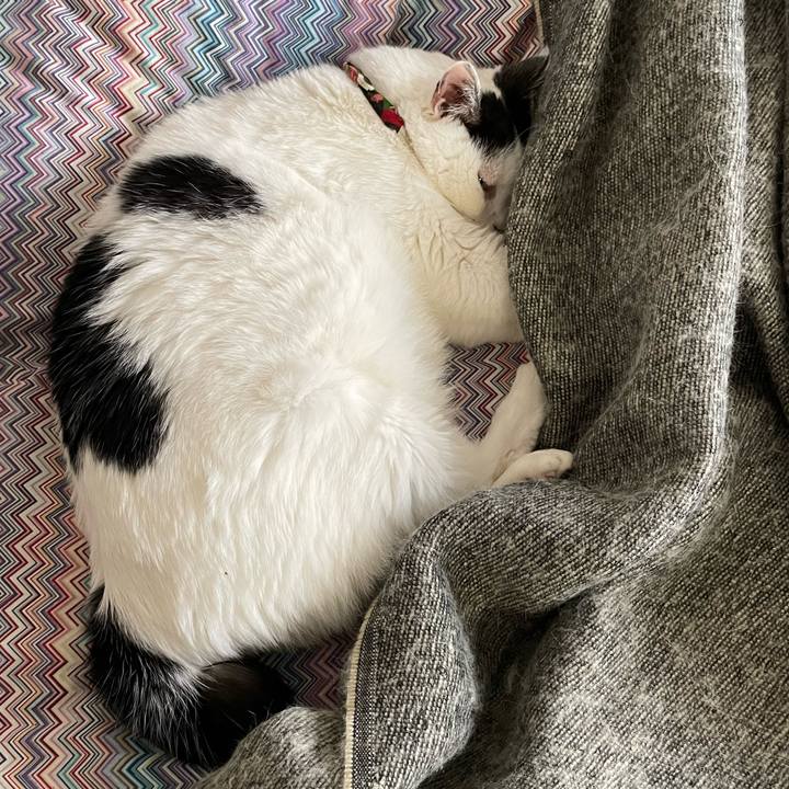 92f0e1cb c1f9 42af b4fc 624d1422c4b7 1650238535410