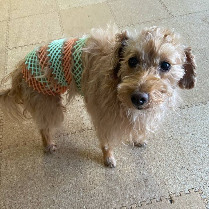 92f108d1 35bc 4559 980a 4088ae7c8cd9 1643842639439