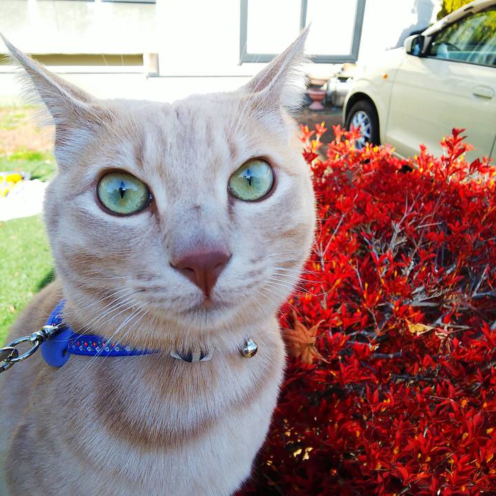 92f11e7f ca67 4b52 9899 1466f2b75d4f 1604795222825