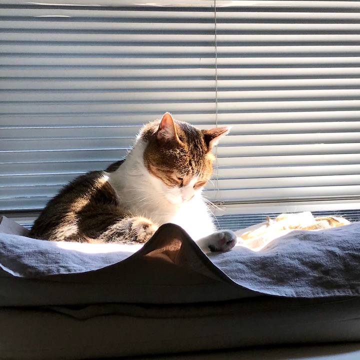 92f128c8 52f9 438d 90db facf129fc81c 1597818181487