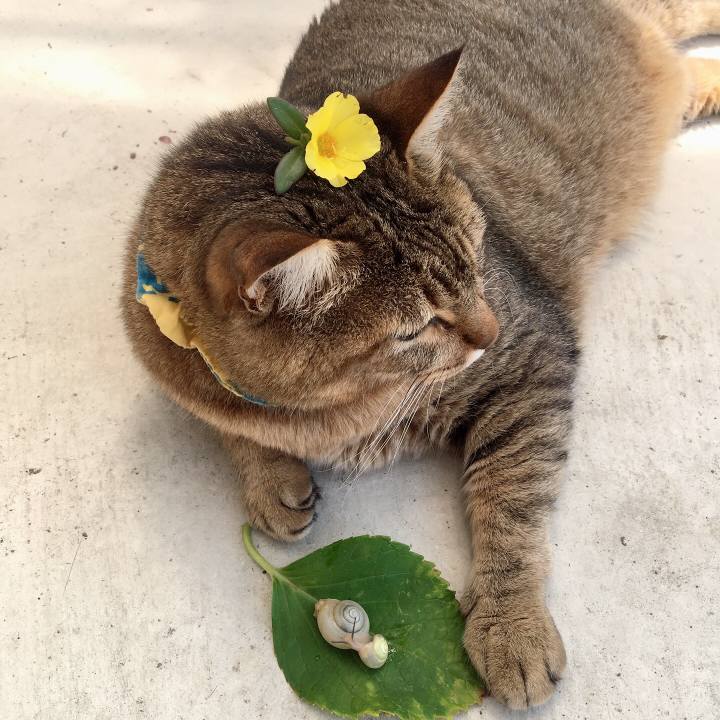 92f12daf 8ab7 46ad 95f6 8508041fc267 1625880379886