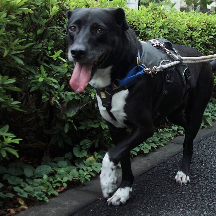 92f144f9 8366 41dd 8cfa ba32e825a9b3 1659828403459