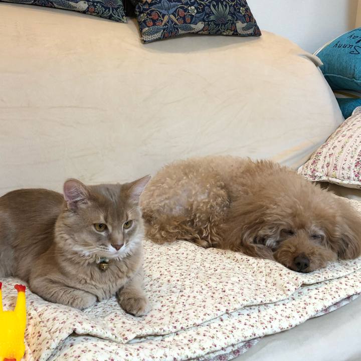 92f16a69 99a2 45fb 9dab f48c442f25e7 1567220689936