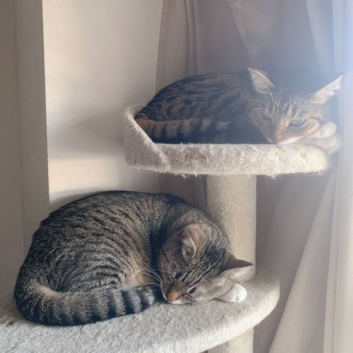 92f1a98f 33ce 48c5 90fe 5750d4e326e6 1582548118532