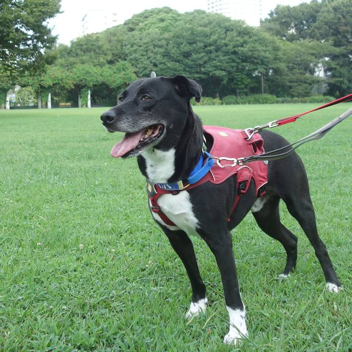 92f1c3ab 48ae 4470 ba39 a4ae91481ddb 1692146292047