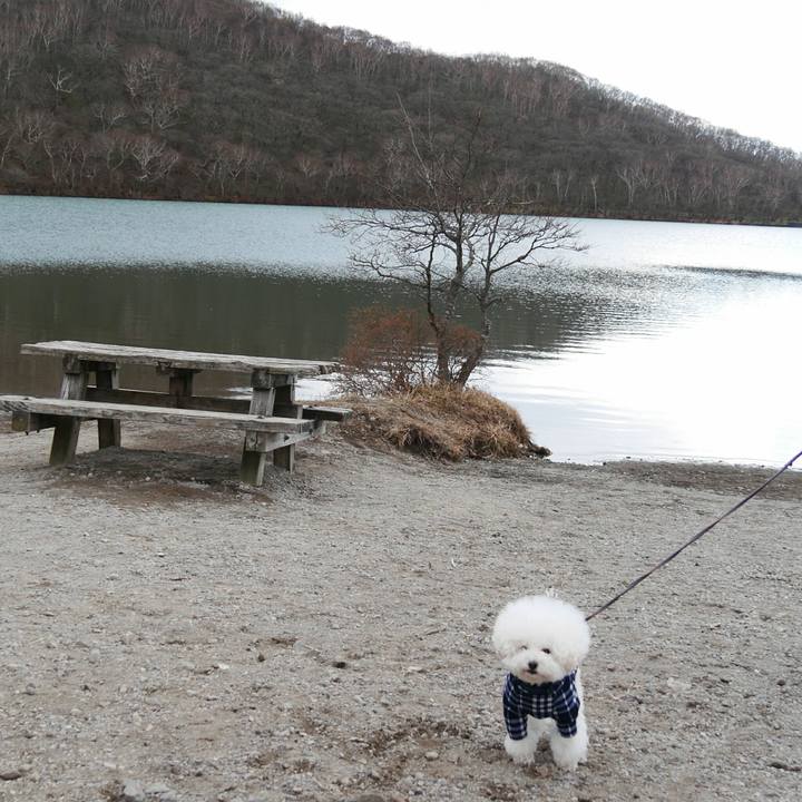 92f24402 a743 445c a9a7 a1903aec5d1c 1510014256432