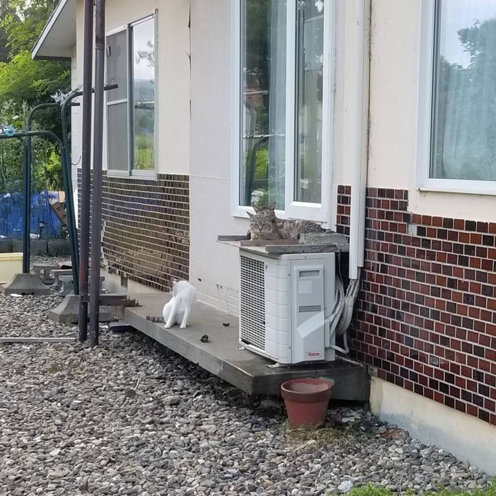 92f2484b 5d7f 49b9 891a 33691f3931aa 1691617324583