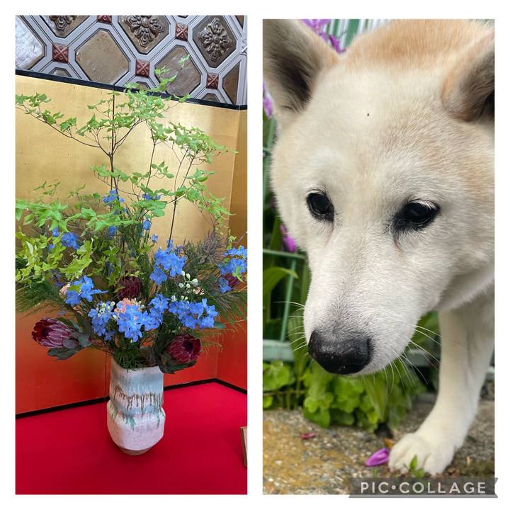 92f278f0 769f 4cf1 9e34 da85e8f85c25 1682949738804