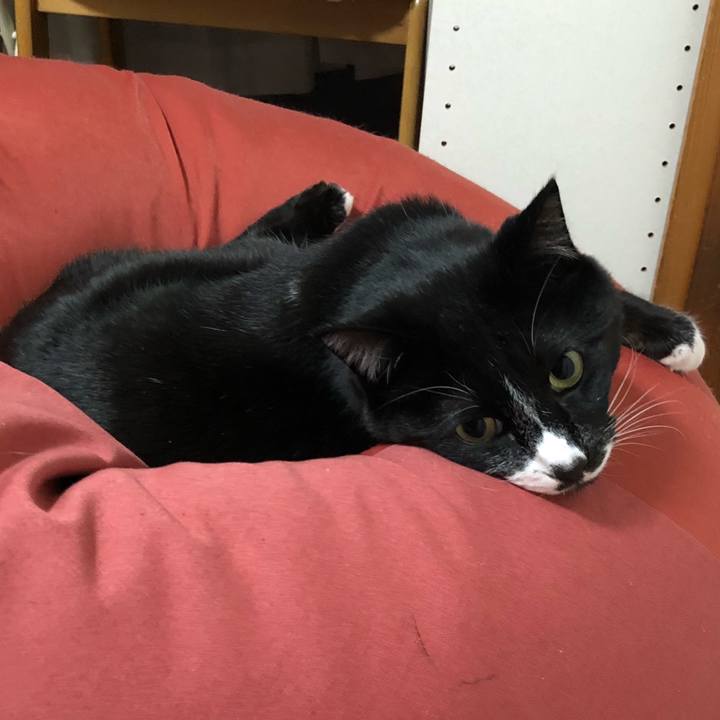 92f285e2 d973 4ac7 8430 91209055ef58 1650252771586