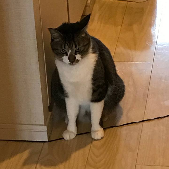 92f2b6b7 ef23 4339 a01b 1853451730a8 1507944513188