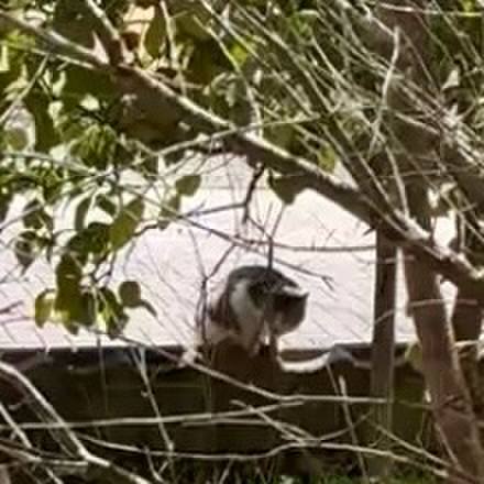 92f2bee0 bd4b 43b1 982a 32425de31893 1774252964327