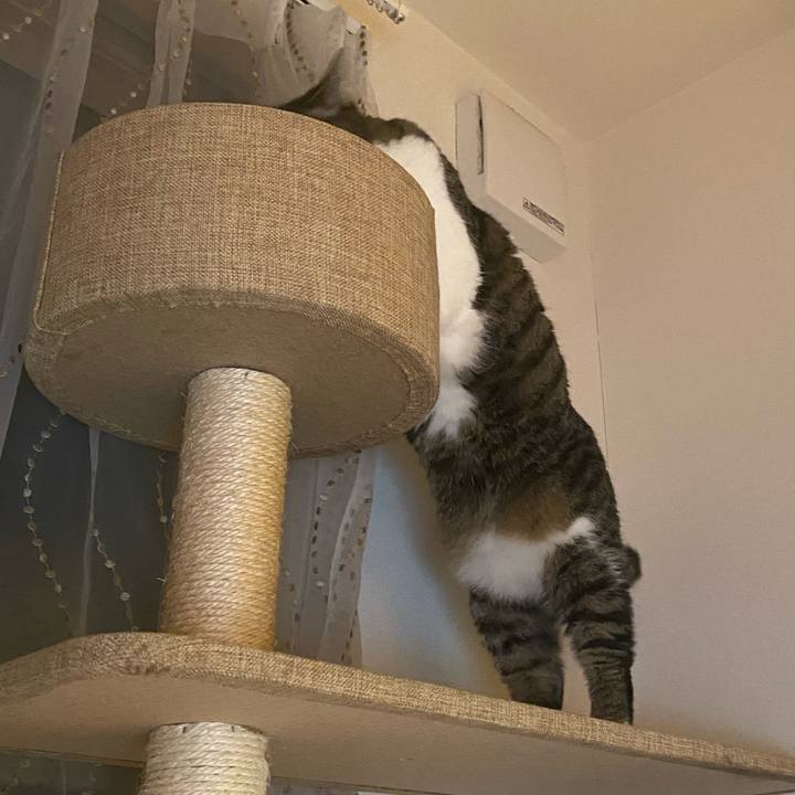 92f2d3d8 d646 45db 9cb8 87f9215c6136 1598870183457