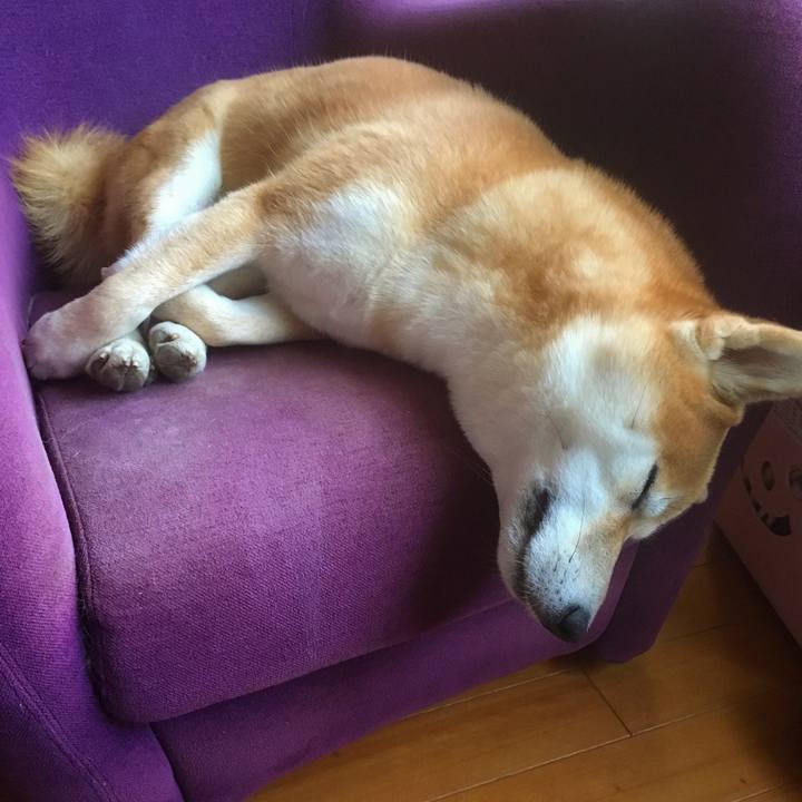 92f2dc6c ba4d 462a 9c86 cafb631966d8 1507963541675