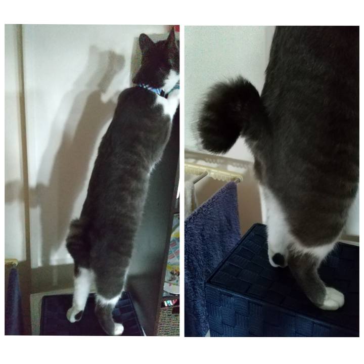 92f2df2c 74ea 4bf5 871e 3d8fd3da0590 1599089597969