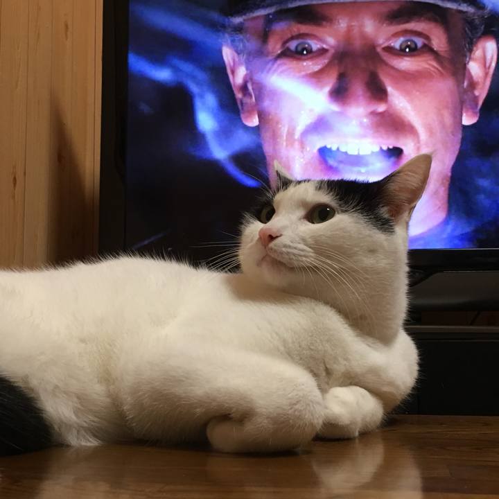 92f30428 e607 417c b152 81586928c912 1509199573692