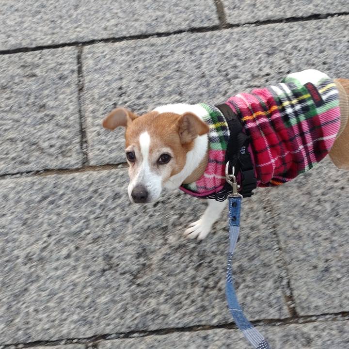 92f3131d 488a 4258 833b aa5aed7e099b 1766189774534