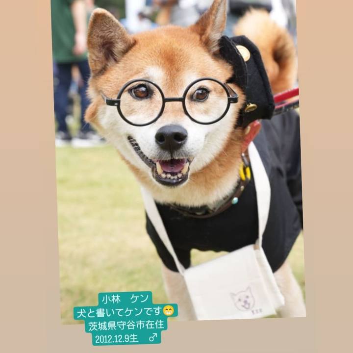 92f3208a 328c 4ec2 8238 b77c0c2386c9 1713927976618