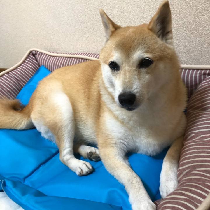 92f375f4 de90 4d9b 8691 94aad27505b3 1596623159375