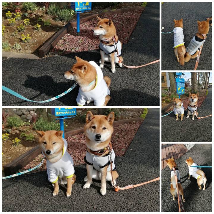 92f3c141 eb4e 483a 9010 ff7ac5ef9b21 1617710685585