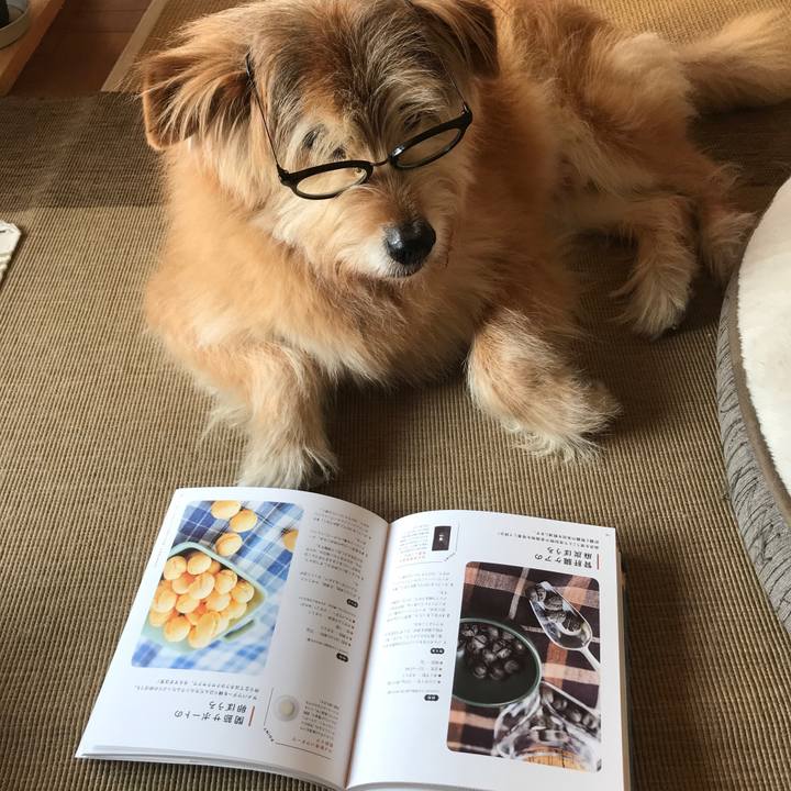 92f3d876 89e0 4620 b9a4 e2ce5eebf0e5 1615332611422