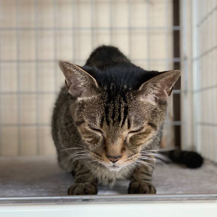 92f482e9 f132 4dec b448 261f1945d6c9 1600822814799