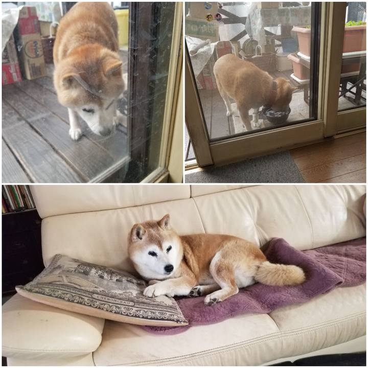 92f489ae a44a 4858 aba1 6bc17558acc8 1743729401670