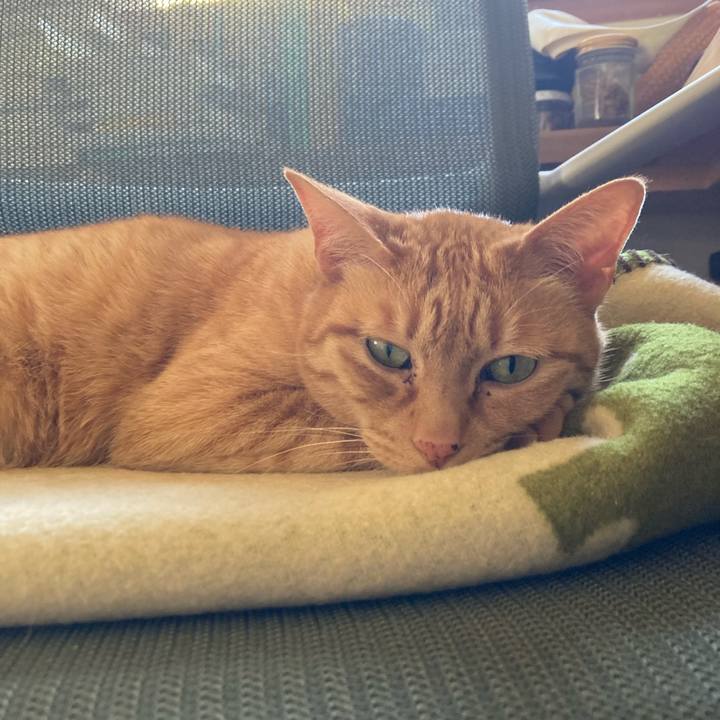 92f49312 e927 4586 9682 b13ab88e0bb5 1713046950205