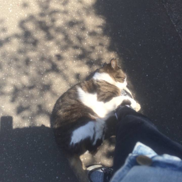 92f4979f 1249 4f92 aaa3 647f2cf98baf 1555570174619