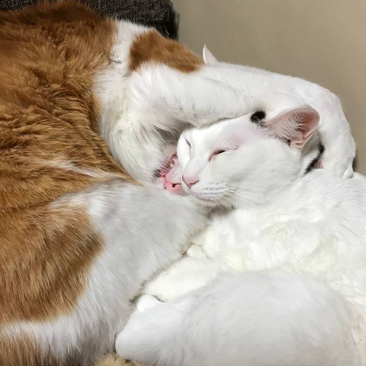 92f4babc e0f3 4695 a780 8dce051dd8bf 1521465550359