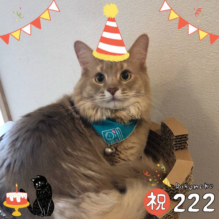 92f4f412 e668 4d98 8702 41fd380c6de1 1645516935553