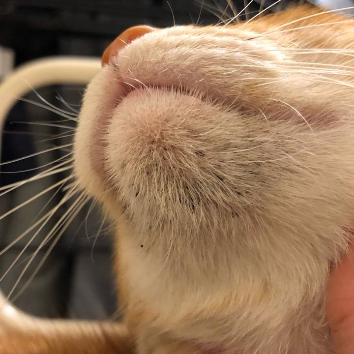 92f504b5 4a89 47cd b3b4 e99b64e46c4d 1574690406744