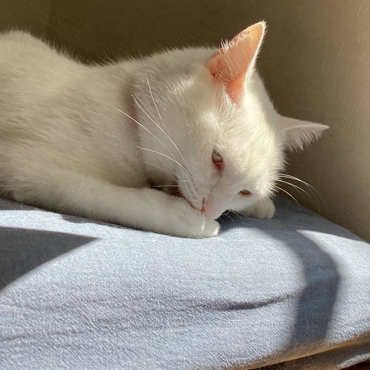 92f528a0 0d40 4d3f ae8f 1982705b81e3 1695967788167