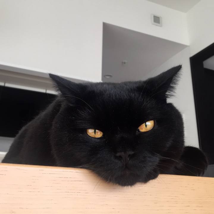 92f53361 8eb3 41a9 bbd5 a7bfef438bbd 1565828915908