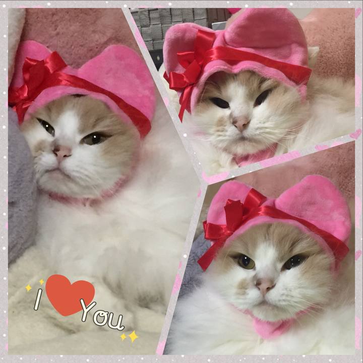 92f556b2 d3cb 44dc bf4f 0501d584dc61 1518577892071