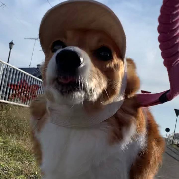 92f55baf acd4 4caa 9d7e e3c46b00fe2f 1670054360765