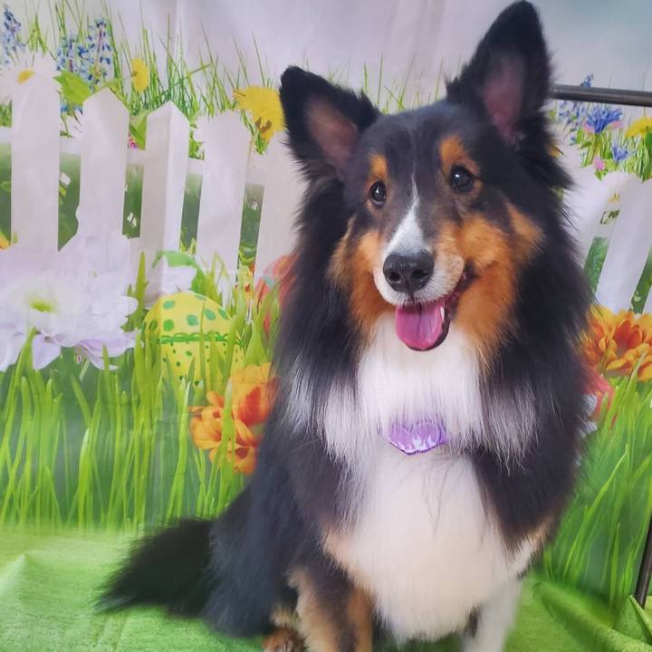 92f5701e fc12 4d08 81e7 81c927eda6a5 1712058424803