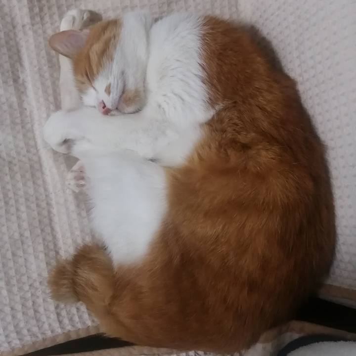 92f5b099 5d2e 4efa a159 2c6519a32f41 1653485661409