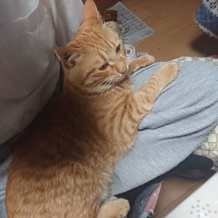 92f5bacd eda9 4e26 ba78 3450fbd16127 1651234022105