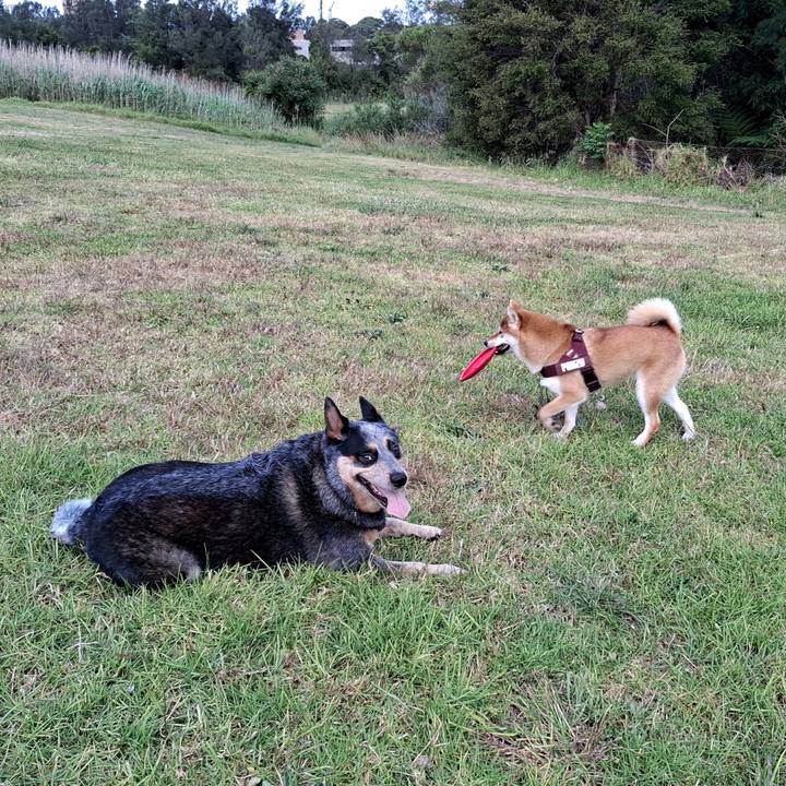 92f5be17 eb82 46ba be44 ee2a4605b1c3 1761468036145