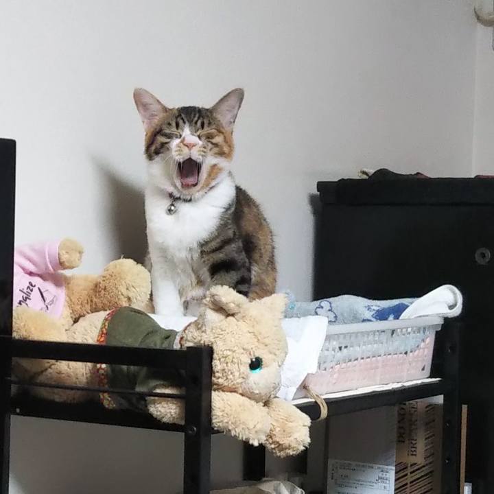 92f5c30c ef65 4269 b683 da41d864b787 1644837014080